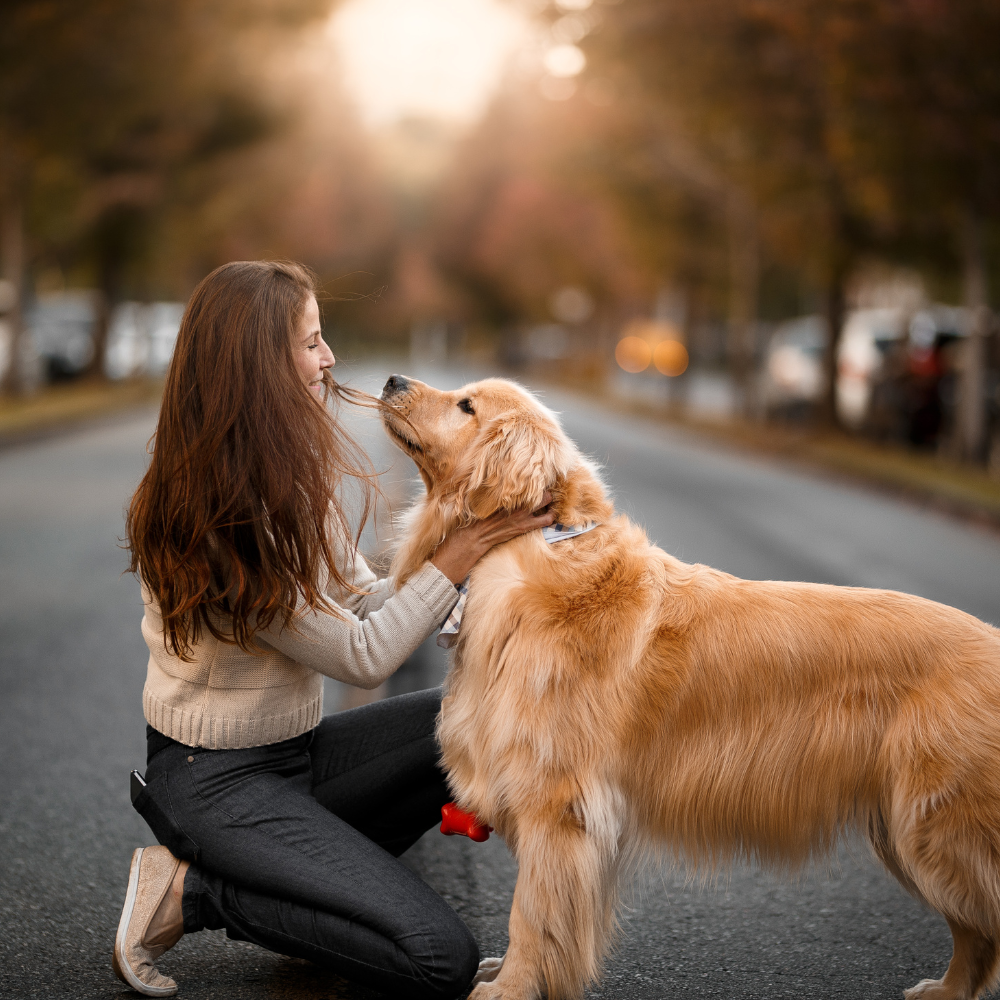 Pet Parents